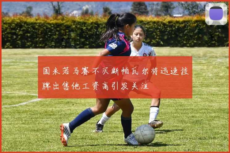 国米若马赛不买断帕瓦尔将迅速挂牌出售他工资高引发关注
