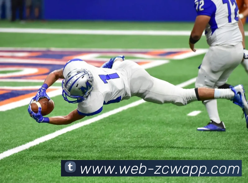 足彩网平台生态图